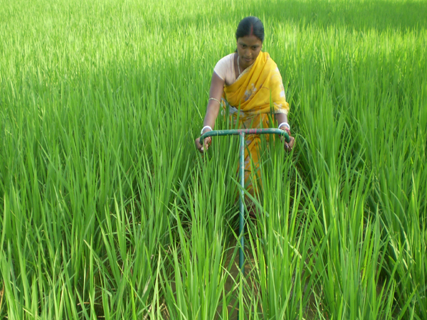 Food security