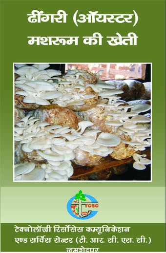 publication